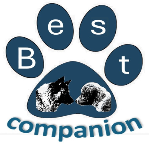 Hondenschool Best Companion